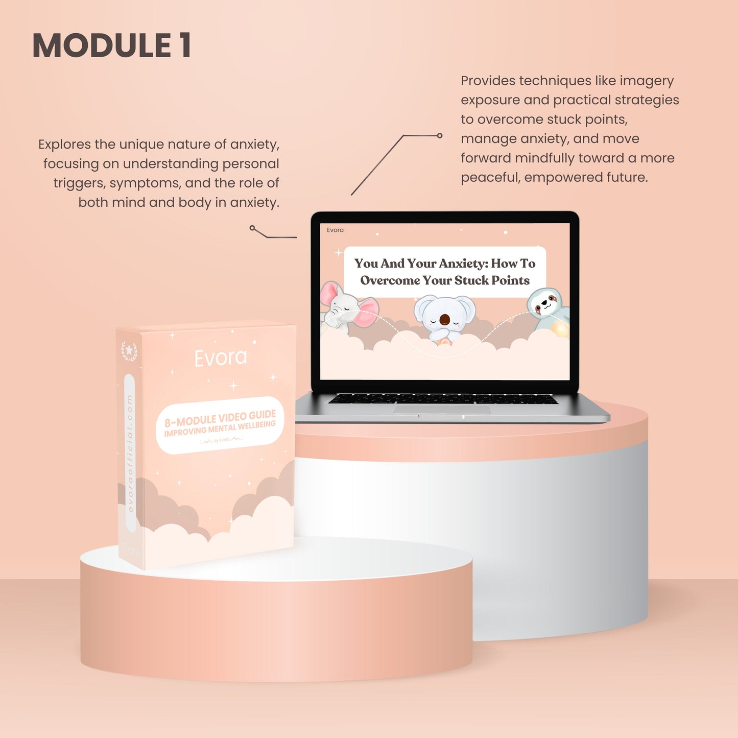 Free 8 Module Video Guide - Mental Wellbeing