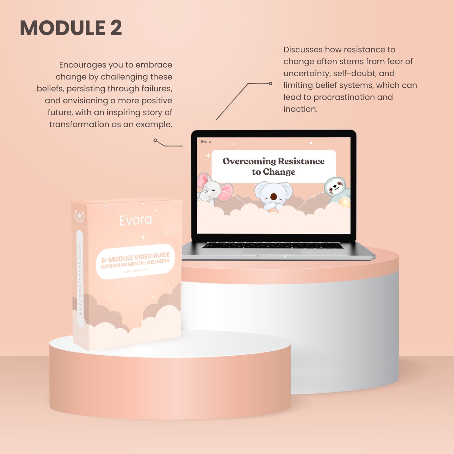 Free 8 Module Video Guide - Mental Wellbeing
