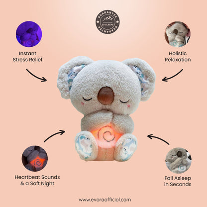 Original Relief Koala - Bundle with gifts