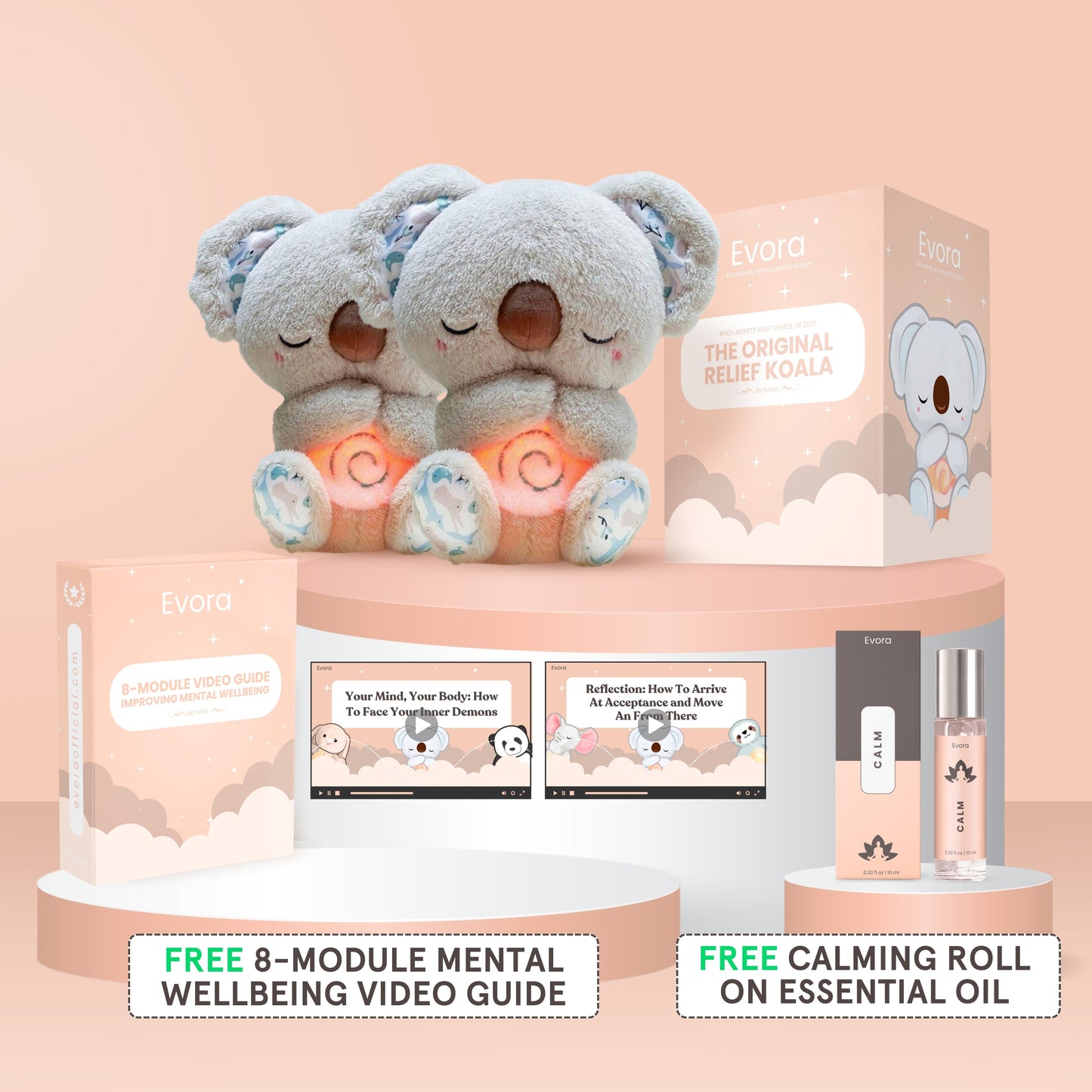 Original Relief Koala - Bundle with gifts