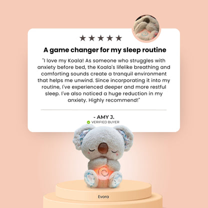 Original Relief Koala - Bundle with gifts