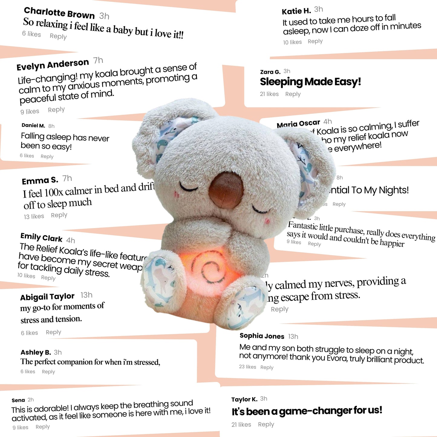 Original Relief Koala - Bundle with gifts