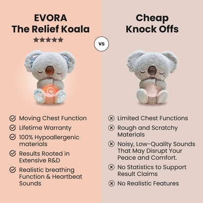 Original Relief Koala - Bundle with gifts